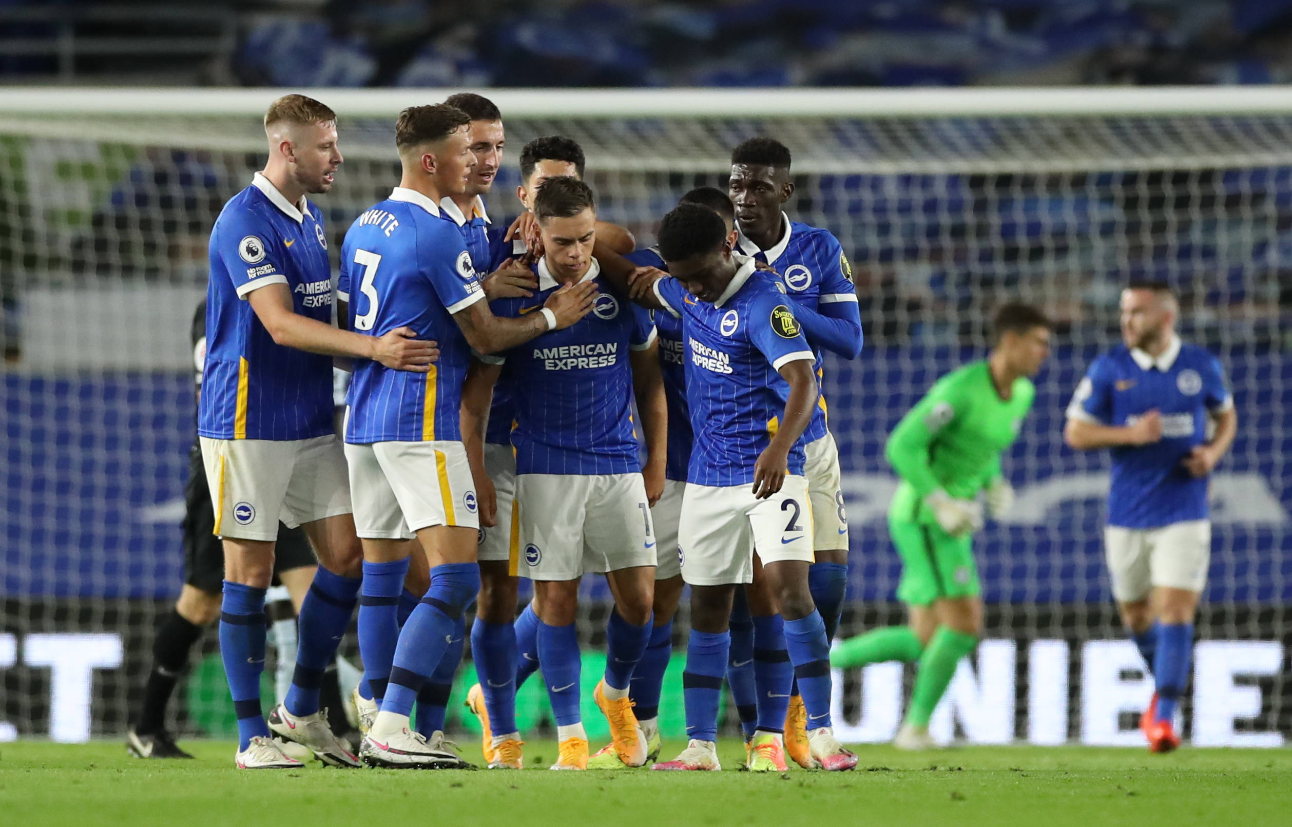 仅振奋了主 仅振奋了主